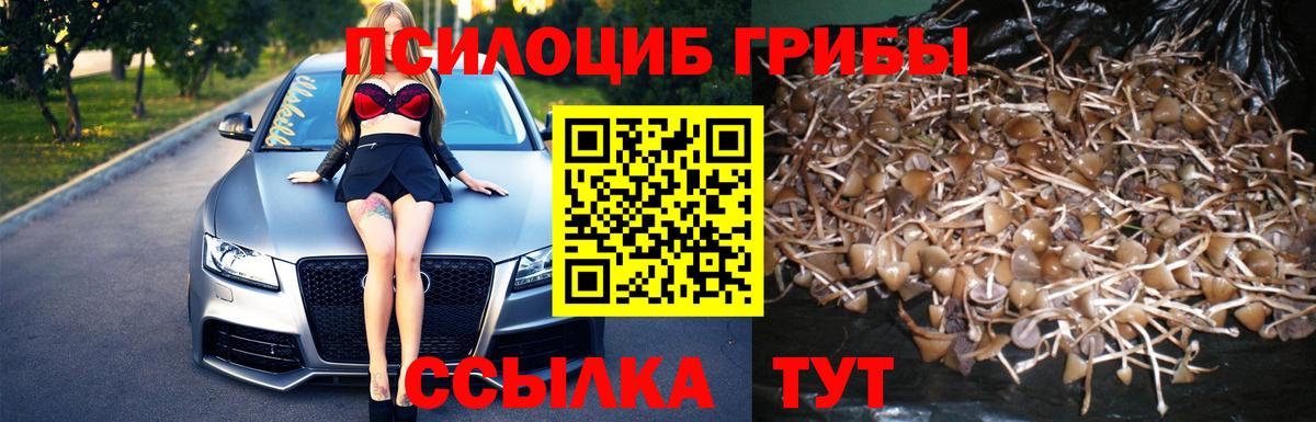 Галлюциногенные грибы ЛСД  Вход с VPN  Тара 