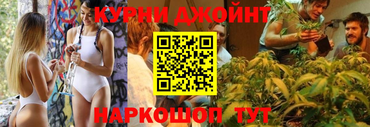 Бошки Шишки тримм  Вход с VPN  Бошки марихуана тримм  Тара 